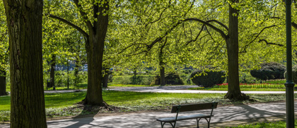 park-villa-ada