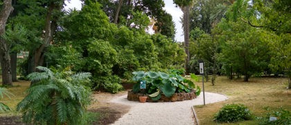 botanische-tuin-rome