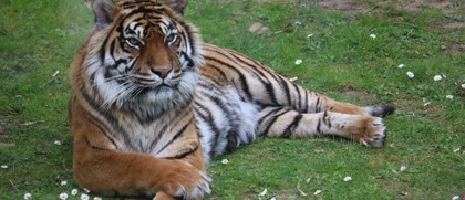 bioparco-dierentuin-rome